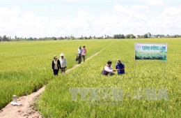 Giữ vững an ninh chính trị, trật tự xã hội tại Tây Nam Bộ