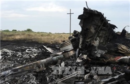 Mở cuộc điều tra quốc tế mới về vụ rơi máy bay MH17 