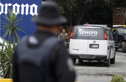 Xả súng tại Mexico làm 10 người chết