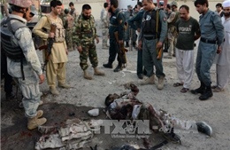 Afghanistan tiêu diệt 85 phiến quân Taliban 