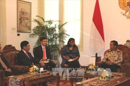 Phó Thủ tướng Phạm Bình Minh chào xã giao Tổng thống Indonesia
