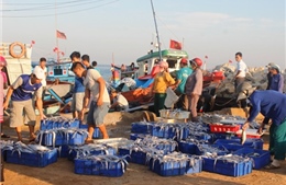 Bình yên “chợ” cảng biển Lý Sơn