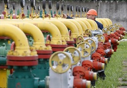 Ukraine ngừng mua khí đốt của Nga 