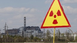 Xuất hiện nhiễm xạ nguy hiểm tại Chernobyl do cháy rừng