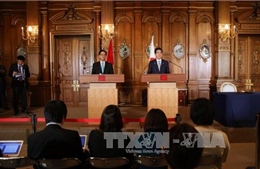 Thủ tướng Nguyễn Tấn Dũng hội đàm với Thủ tướng Nhật Bản Shinzo Abe