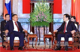 Chủ tịch nước tiếp Phó Chủ tịch nước Lào
