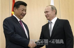 Tổng thống Nga gặp Chủ tịch Trung Quốc
