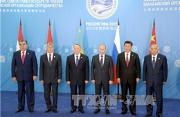 Khai mạc Hội nghị Thượng đỉnh SCO