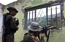 Chính phủ Colombia và FARC đạt thỏa thuận lịch sử