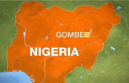 Đánh bom liên hoàn ở Nigeria, 49 người thiệt mạng