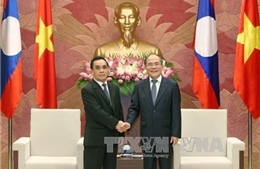 Tổng Bí thư tiếp Thủ tướng Lào Thăm-ma-vông