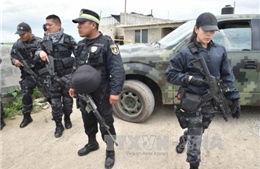 Bắt 7 quan chức Mexico nghi dính líu tới trùm ma túy vượt ngục