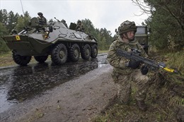 Ukraine bắt đầu cuộc tập trận Rapid Trident-2015 