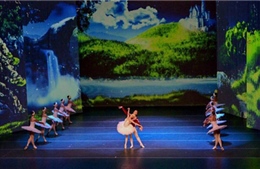 Nhà hát ballet Nga biểu diễn “Hồ Thiên nga” tại Hà Nội