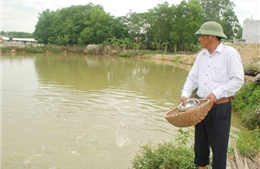 Người thương binh nặng  vươn lên làm giàu
