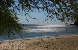 Ngắm những bãi biển đẹp mê hồn ở Timor Leste