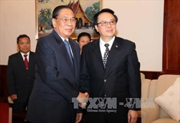 Chủ tịch nước Lào tiếp Đoàn đại biểu Ban Đối ngoại Trung ương Đảng 