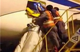 Trung Quốc bắt hành khách phá phách trên máy bay
