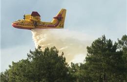 Cháy rừng nghiêm trọng tại Pháp và Albania 