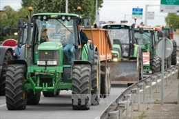 Nông nghiệp Pháp thiệt hại nặng do Nga cấm vận trả đũa