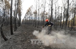 Pháp sơ tán 10.000 người cắm trại do cháy rừng tại Provence