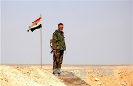 Quân đội Syria giành lại quyền kiểm soát Hasakeh