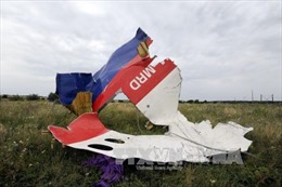 Nga phủ quyết việc lập tòa án quốc tế xét xử vụ MH17 