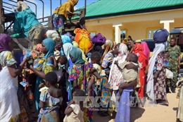 Nigeria giải cứu gần 60 con tin bị Boko Haram giam giữ 