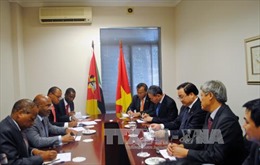 Đoàn đại biểu Chính phủ Việt Nam kết thúc chuyến thăm Mozambique