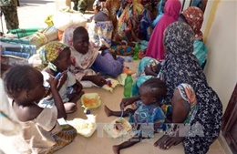 Nigeria giải cứu gần 180 con tin bị Boko Haram giam giữ 