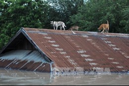 Hơn 100 người thiệt mạng do lũ lụt, lở đất tại Ấn Độ