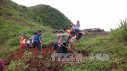 Nông dân Hà Giang thiệt hại nhiều hoa màu, vật nuôi