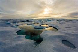 Nga trình LHQ tuyên bố chủ quyền vùng lãnh thổ ở Bắc Cực