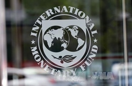 IMF đánh giá nợ công Ukraine rủi ro rất cao 