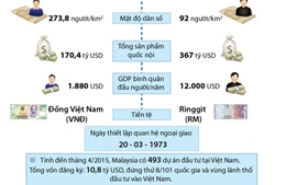 Quan hệ song phương Việt Nam - Malaysia