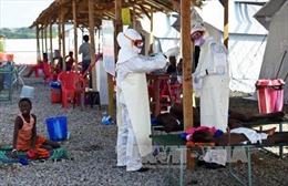 Nguy cơ bùng phát trở lại dịch Ebola vẫn rất cao