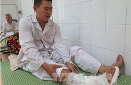 Nhiều nạn nhân vụ sập ghế rạp xiếc tại Hải Dương xuất viện 