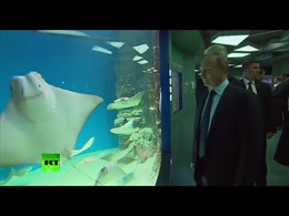 Ông Putin thăm bảo tàng hải dương học lớn nhất châu Âu