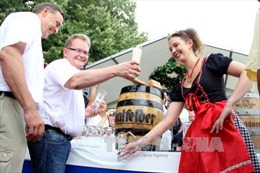2.400 loại bia hội tụ tại Liên hoan bia quốc tế Berlin 