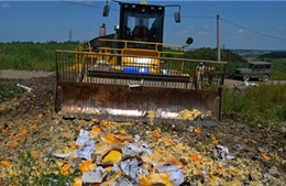 EU gia hạn hỗ trợ nông dân thiệt hại bởi Nga cấm vận trả đũa