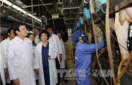 Chủ tịch nước Trương Tấn Sang làm việc tại tỉnh Nghệ An 