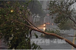 Siêu bão Soudelor hoành hành ở Đài Loan, ít nhất 6 người chết