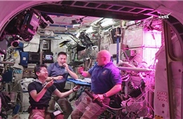 Các nhà du hành vũ trụ lần đầu nếm thử rau trồng trên ISS 