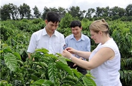 Nestlé hỗ trợ Việt Nam phát triển công nghiệp cà phê