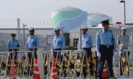 Nhật Bản cấp phát trở lại điện hạt nhân sau 2 năm "ngủ yên" 