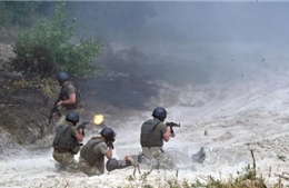 OSCE: Bạo lực gia tăng ở Đông Ukraine