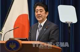 Thủ tướng Abe không đích thân xin lỗi