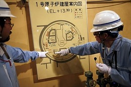 Nhật Bản không thể nói không với năng lượng hạt nhân