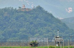Triều Tiên nhiều khả năng đã triển khai pháo tới DMZ