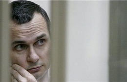 Nga kết án đạo diễn người Ukraine 20 năm tù vì tội khủng bố 
